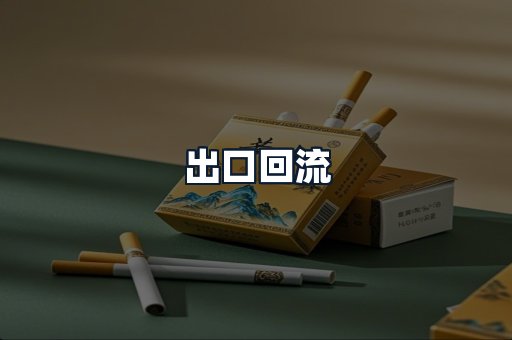 出口回流